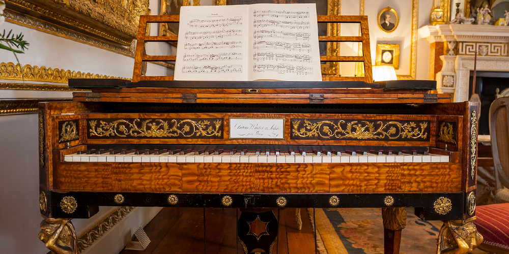 22 Grand piano by Anton Walter and Son