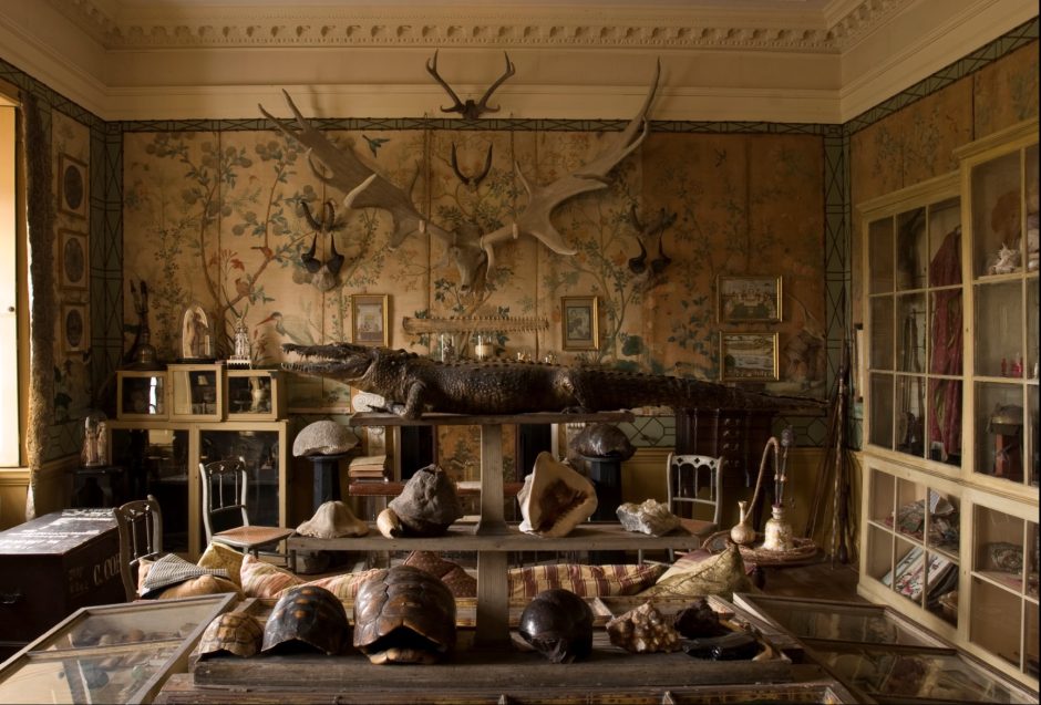 Cabinet of Curiosities, Hatchlands