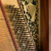 17_Detail-with-the-Irish-harp