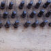 23_BROADWOOD-SIGNATURE-1