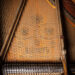 49-Becker-strings_v2