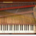 6_ZUMPE-STRINGS_web